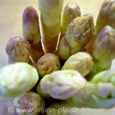 Asperges blanches