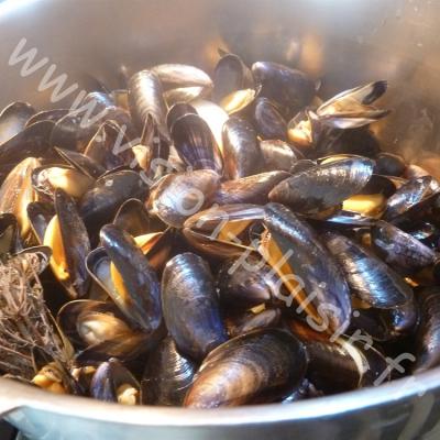 moules de bouchot