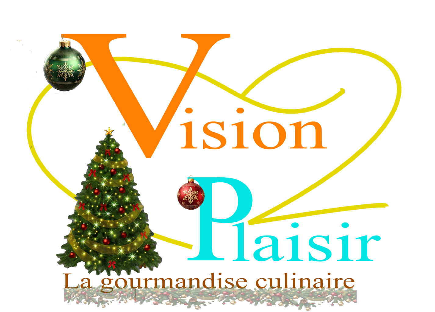 Vision plaisir logo hd